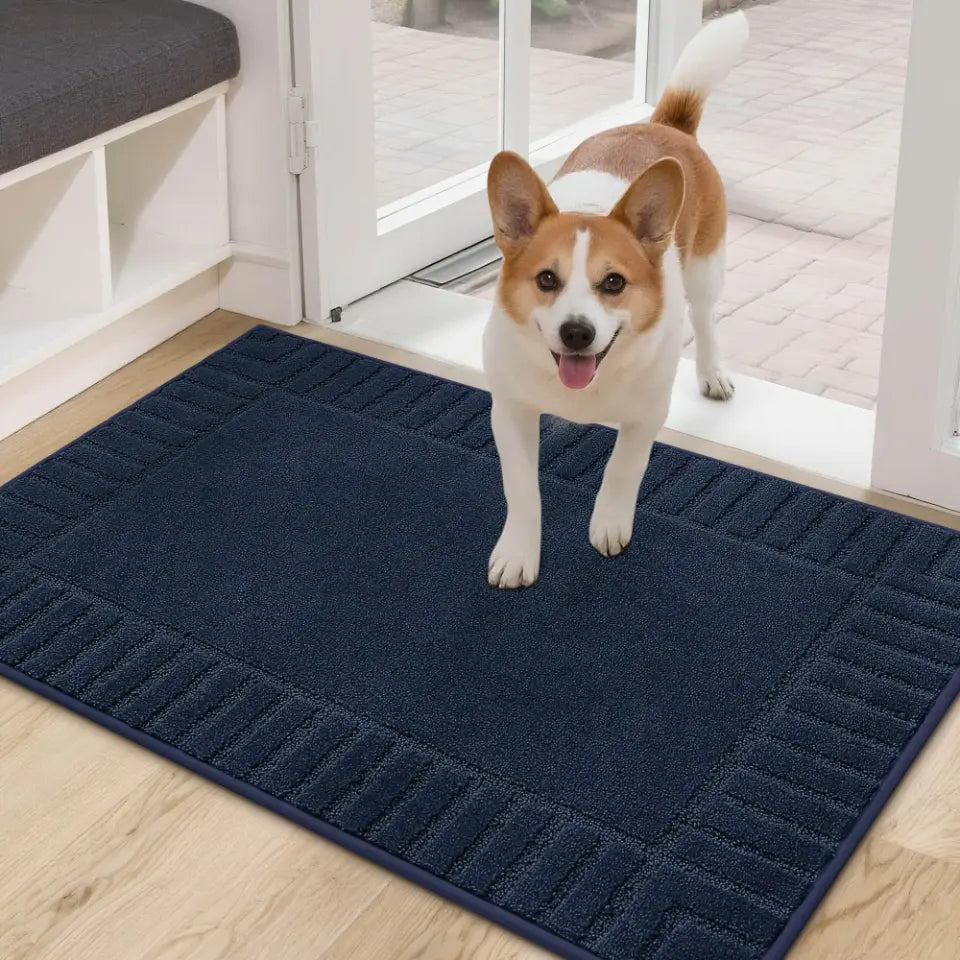 Solid Colored Striped Border Dirt Trapper Door Mat