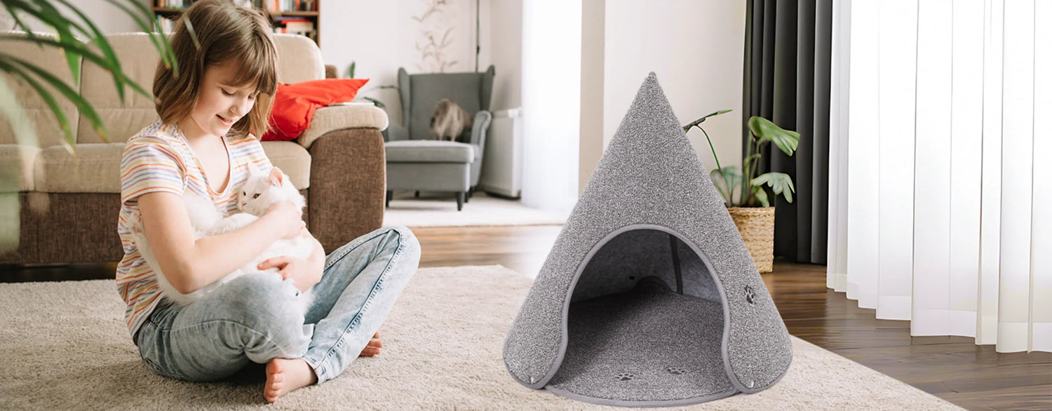 Cat Beds in Living Room