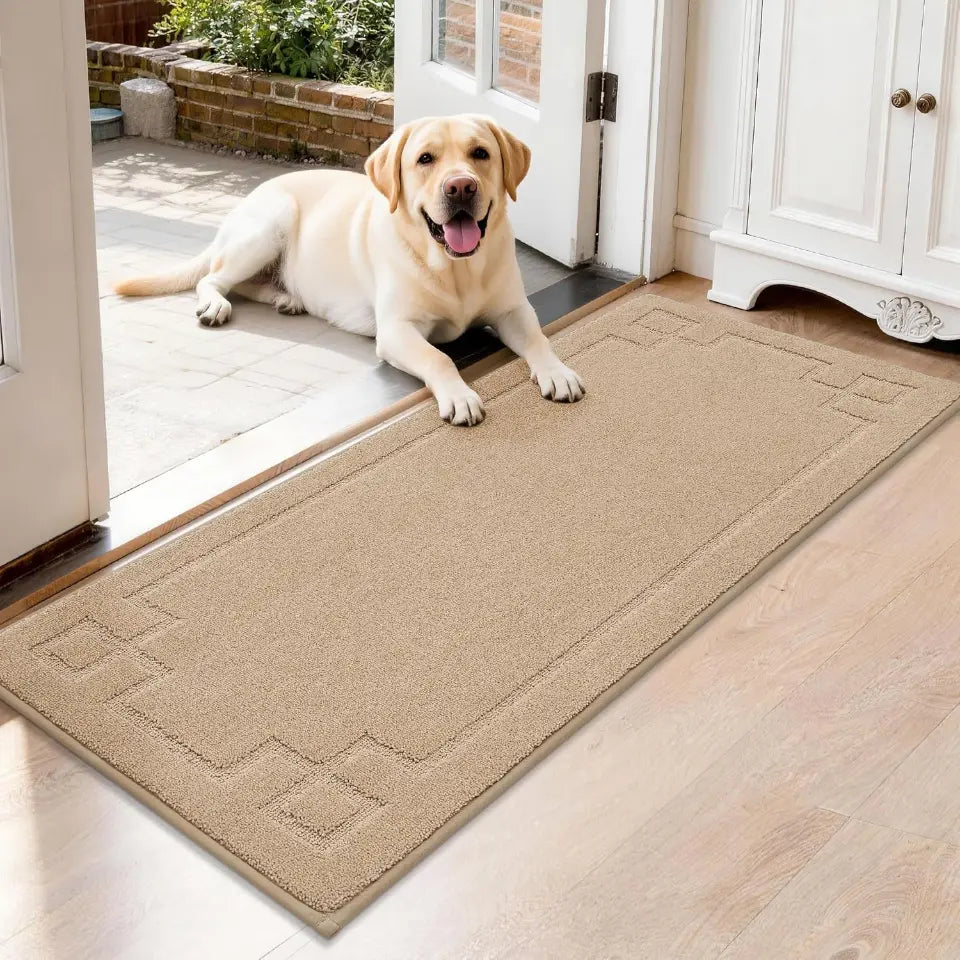 Classic Framed Thin Door Mat