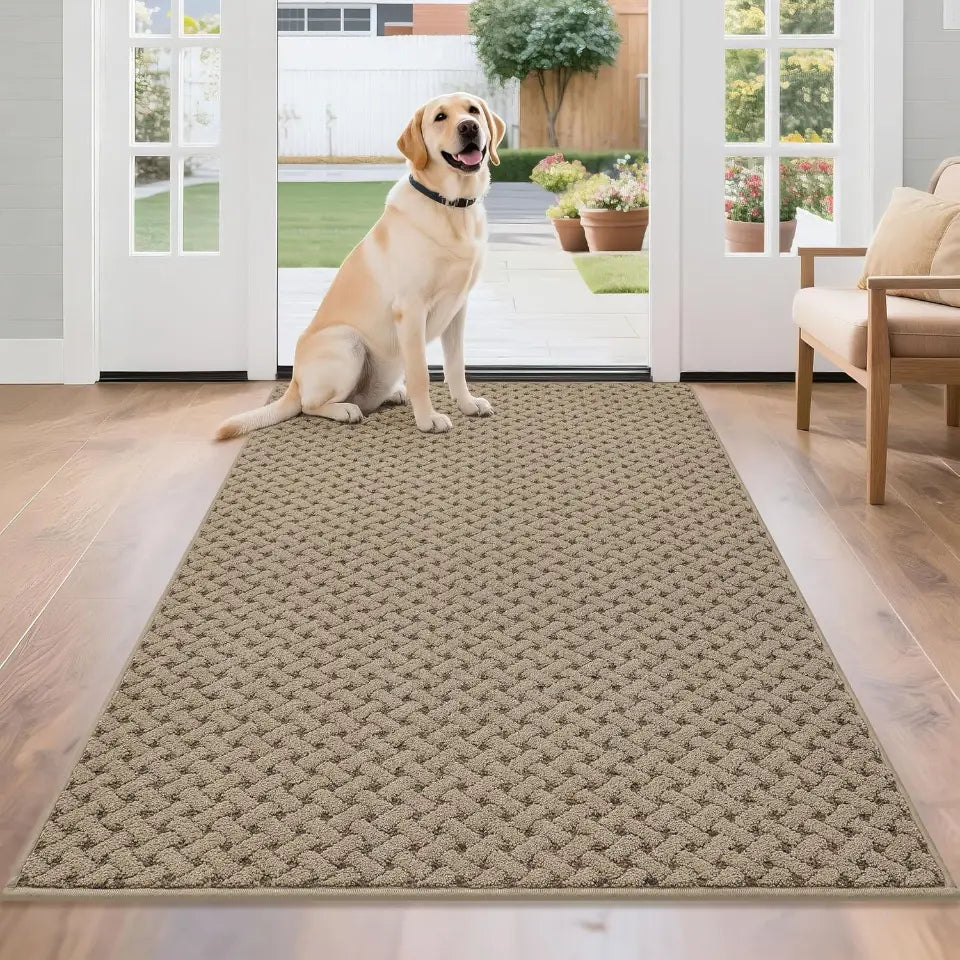 Dog sitting on a textured beige rug in a home setting with a view of a garden.
