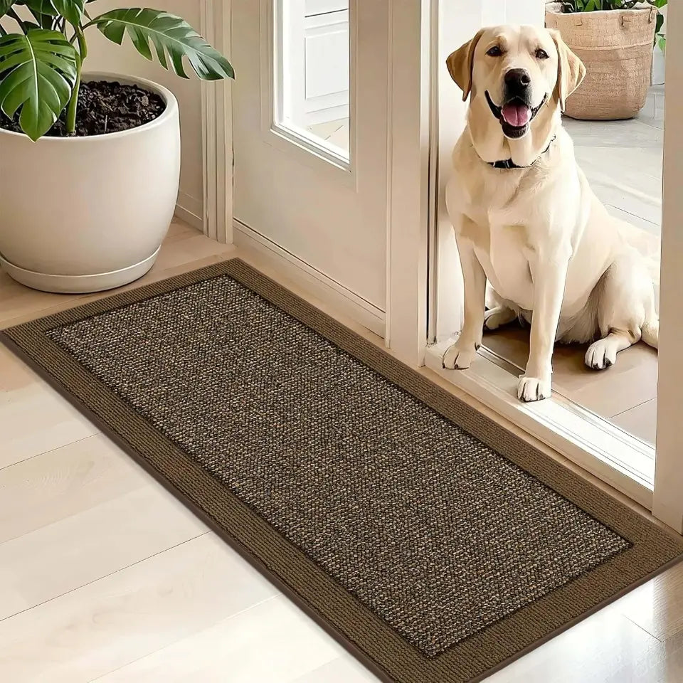 Dog sitting on a doormat at the entrance of a home with a plant nearby.