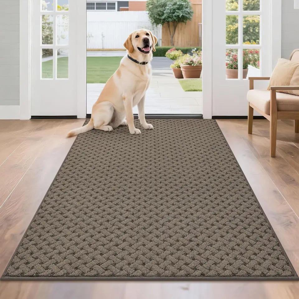 Dog sitting on a textured brown rug in a home setting with a view of the outdoors.