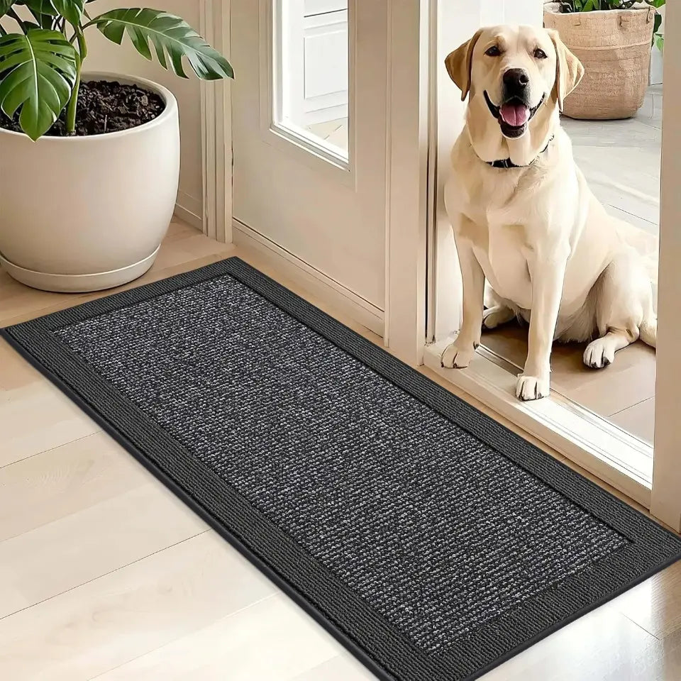 Dog sitting on a threshold with a charcoal doormat in front