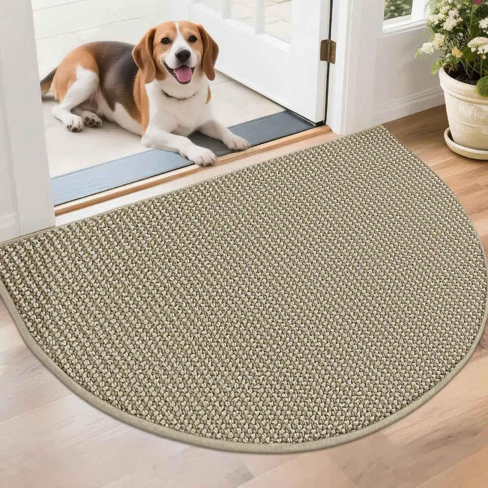 Dog standing on a doormat at the entrance of a house with a half-circle rug in the foreground.