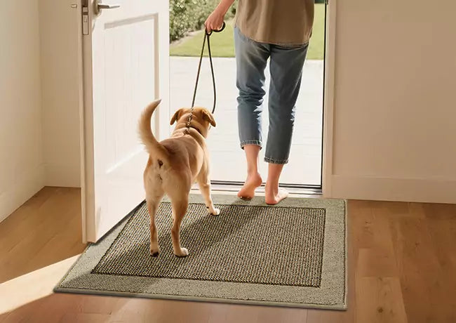 Mud Rug for Dogs with Cozy Under Bare Feet