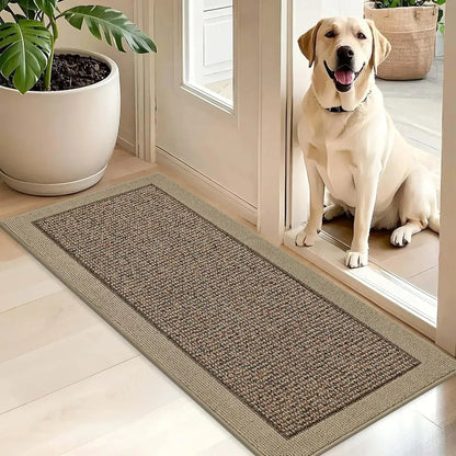 Dog sitting on a doormat in a home entrance with a plant and another rug.